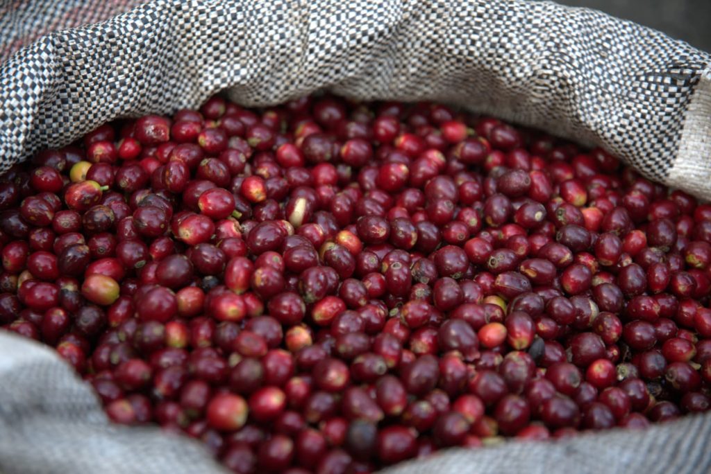 Baie grains café