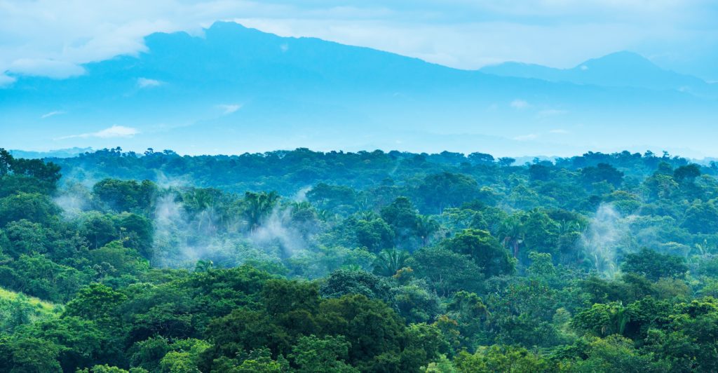 Alizés de cortes - Honduras