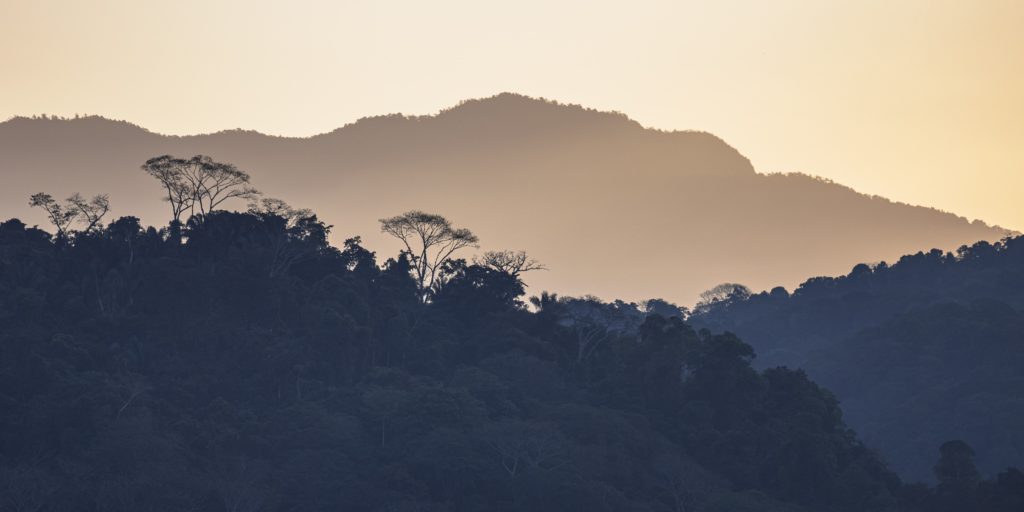 Alizés de cortes - Honduras